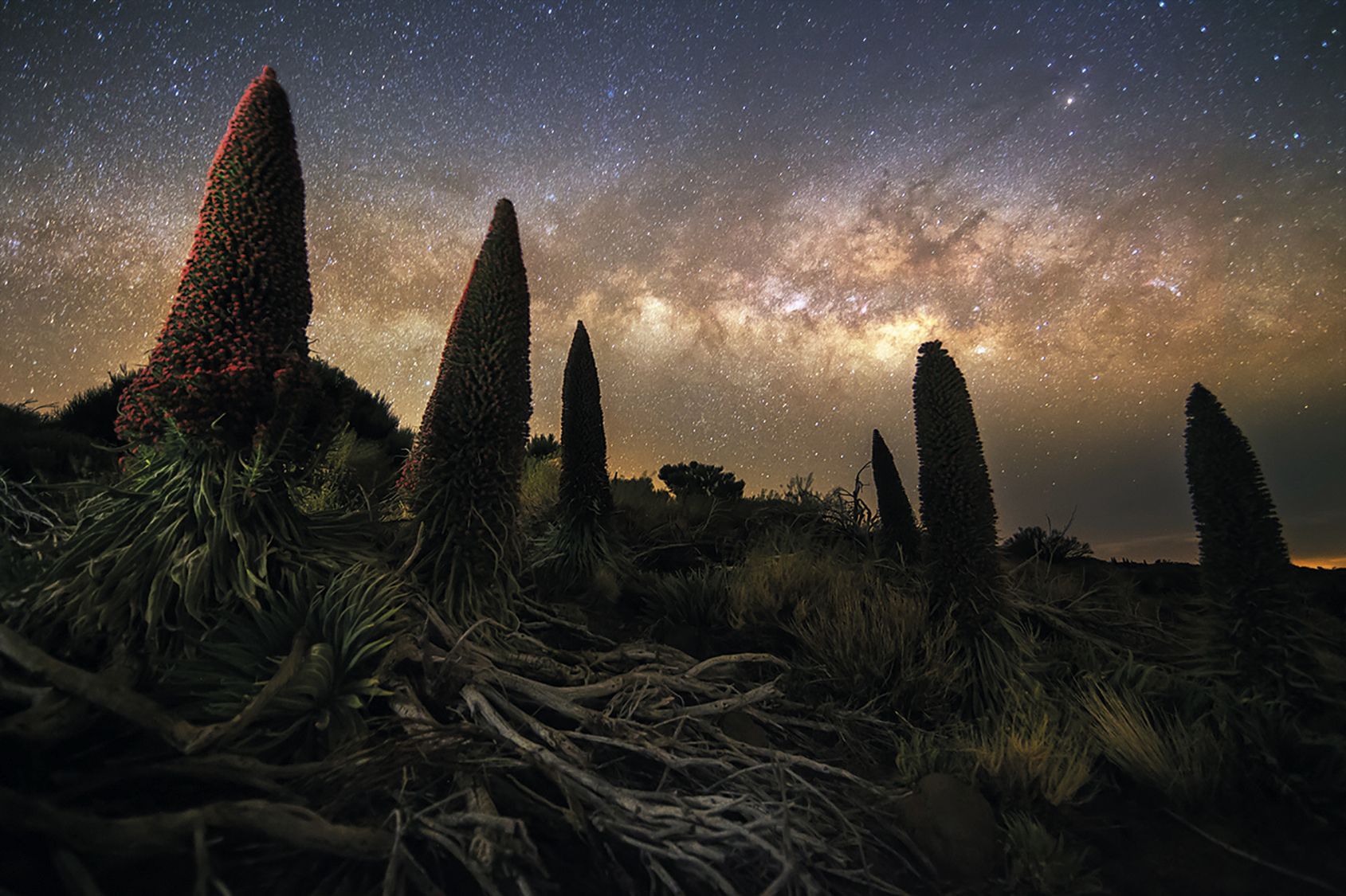 Reserva Starlight: un destino estelar