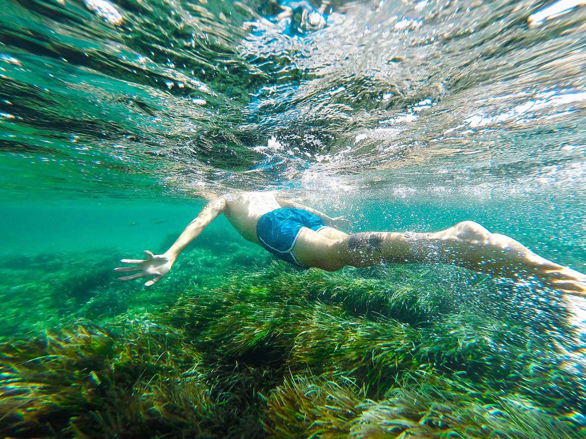 Disfruta de las playas de Baleares sin dañar la Posidonia