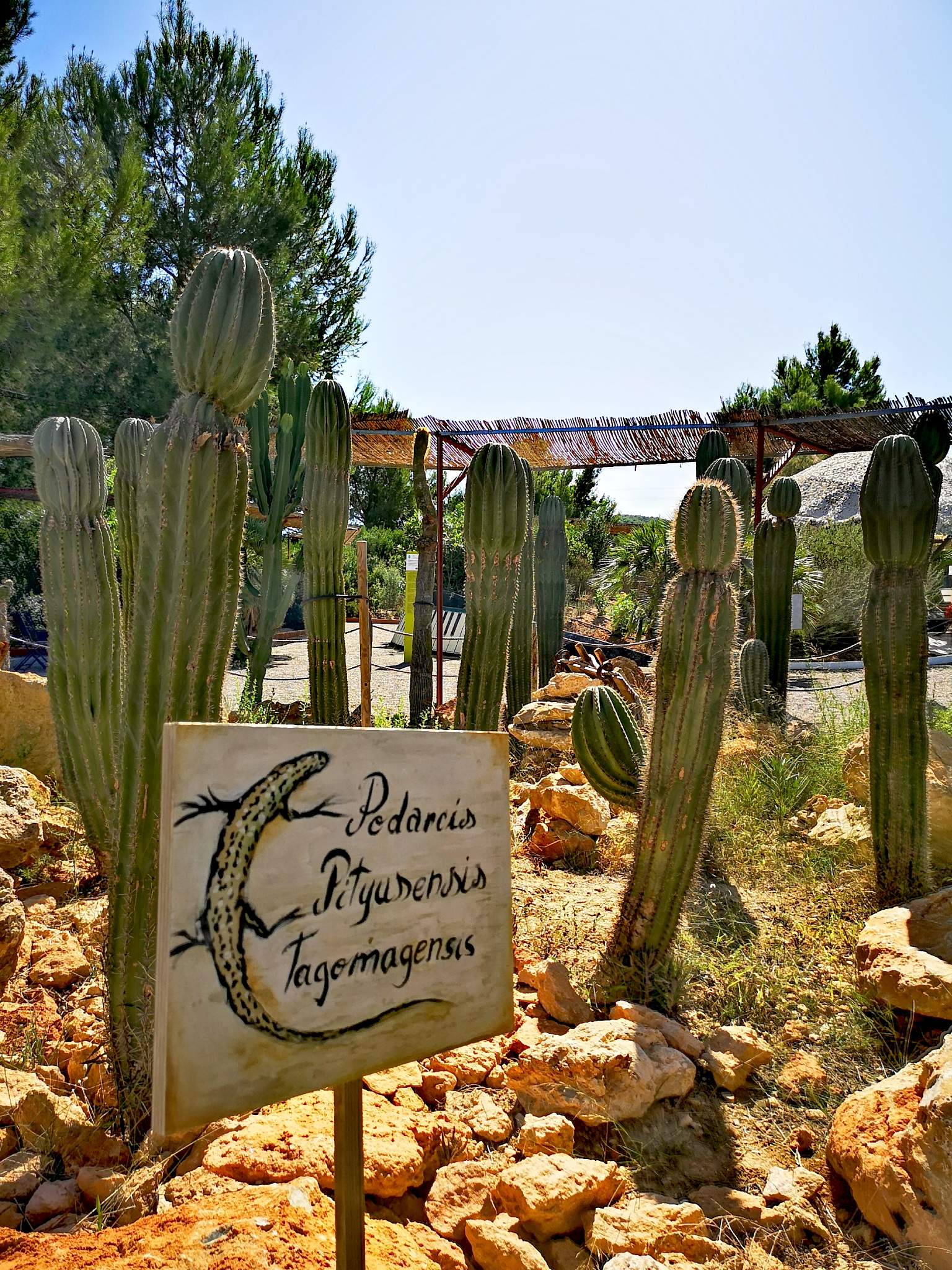 Un plan diferente en el Ibiza Botánico Biotecnológico