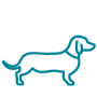 ic_viaja_mascotas_web