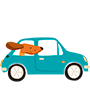 ilustración_pet_embarque