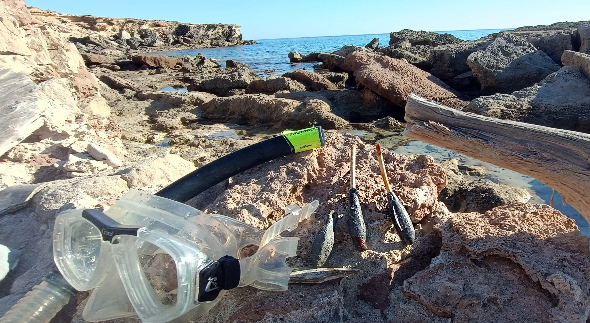 Obesmar limpia el litoral con su campaña 'Un Mar sin plomos'