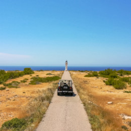 Ofertas_ Palma Formentera 2021-260x260px