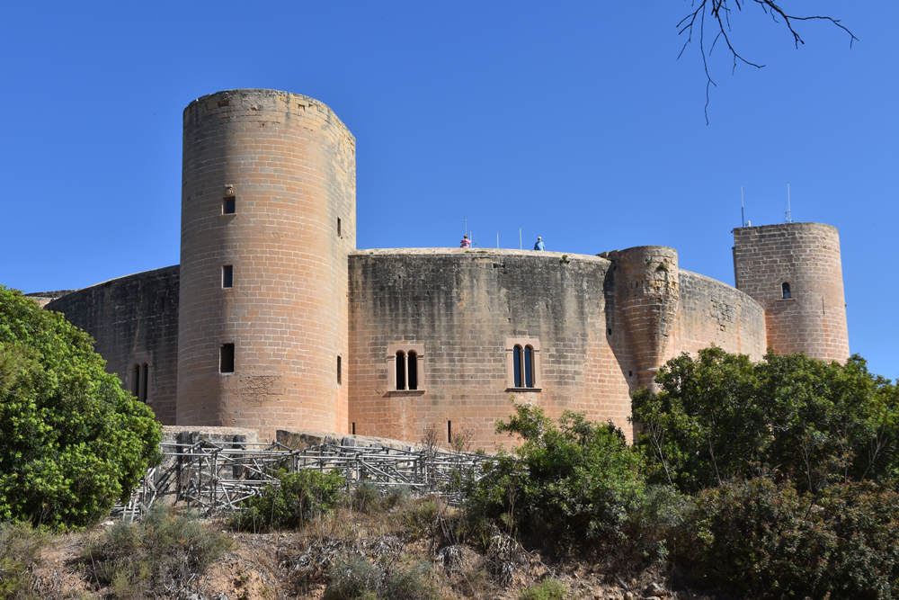 Mallorca: los secretos del bosque de Bellver