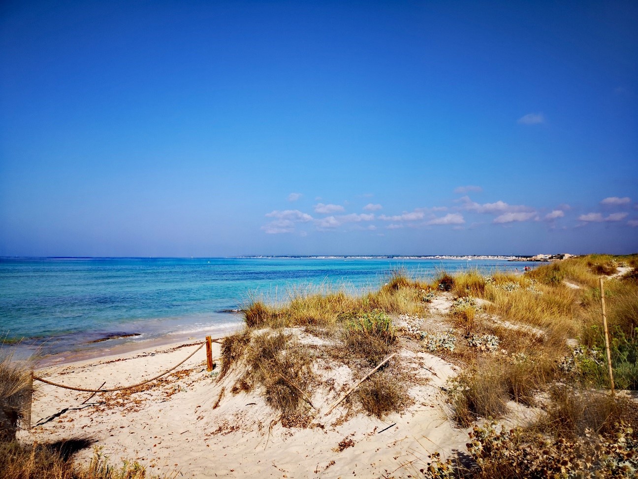 Cinco parajes naturales que visitar en Mallorca