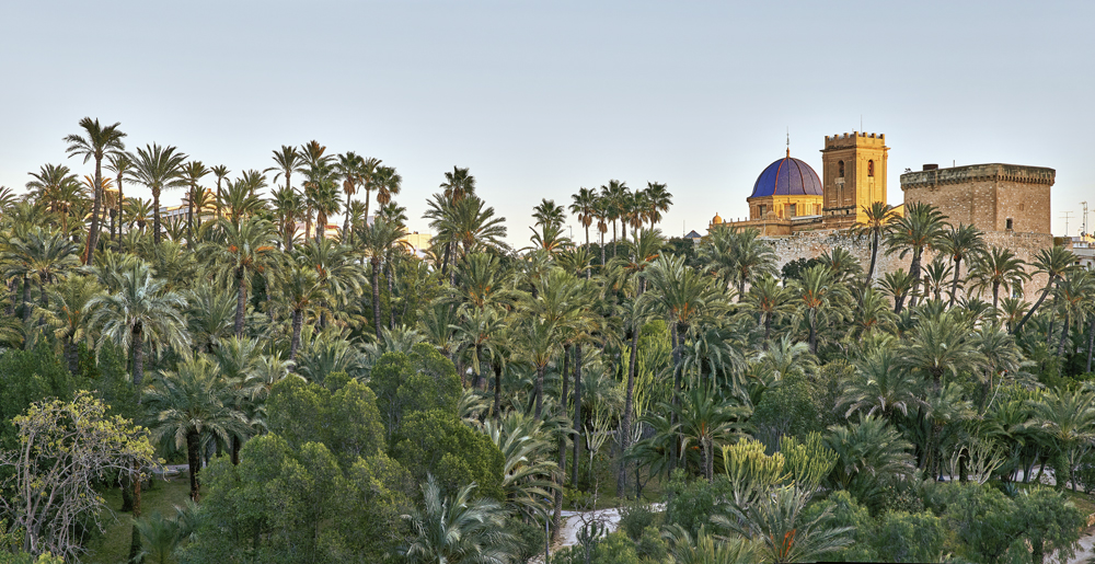Elche, tres patrimonios de la humanidad en una ciudad