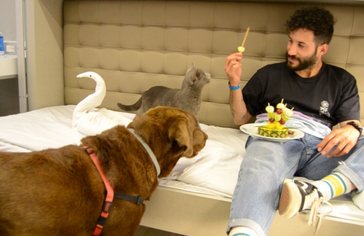 Experiencia pet friendly en ferry a Canarias