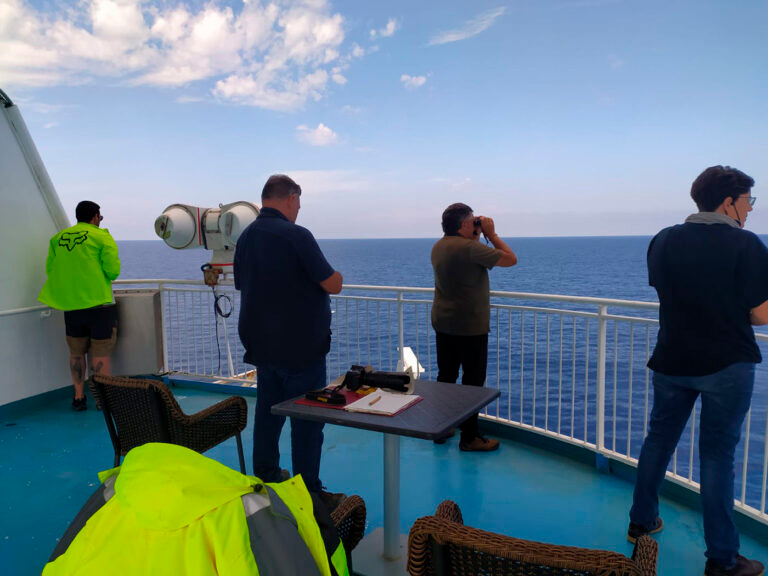 Vuelven los avistamientos de fauna marina a bordo
