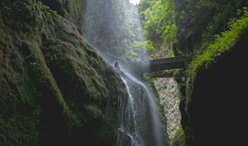 2 image